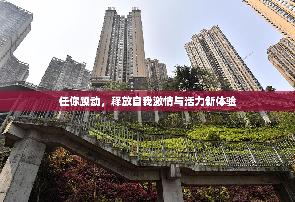任你躁动，释放自我激情与活力新体验