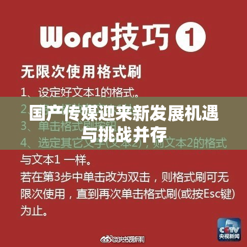 国产传媒迎来新发展机遇与挑战并存
