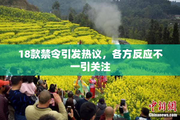 18款禁令引发热议，各方反应不一引关注