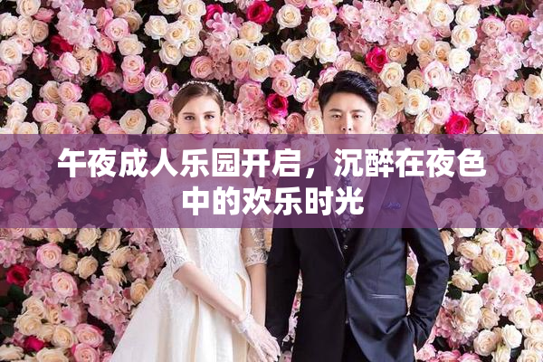 午夜成人乐园开启，沉醉在夜色中的欢乐时光