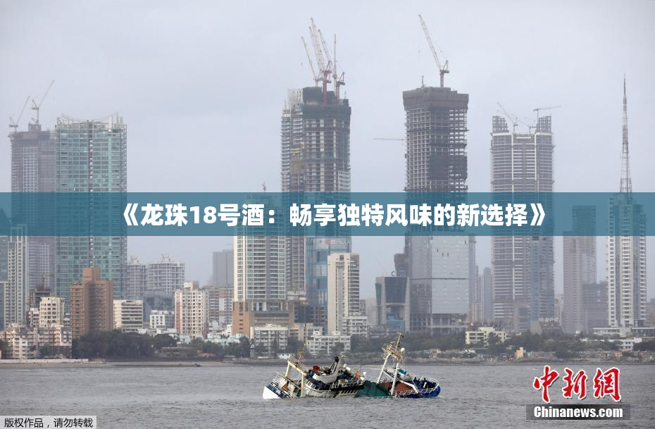 《龙珠18号酒：畅享独特风味的新选择》