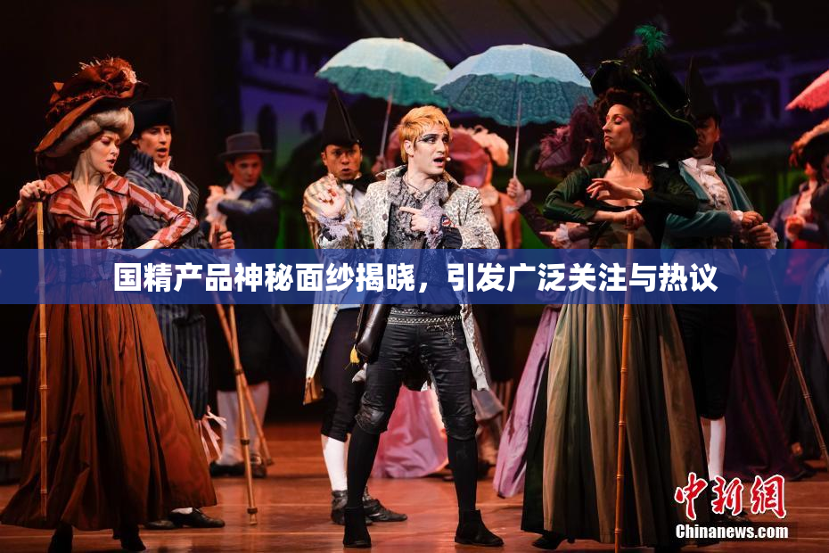 国精产品神秘面纱揭晓，引发广泛关注与热议