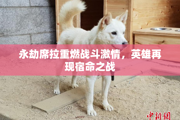 永劫席拉重燃战斗激情，英雄再现宿命之战