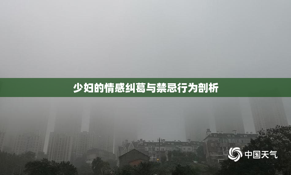 少妇的情感纠葛与禁忌行为剖析