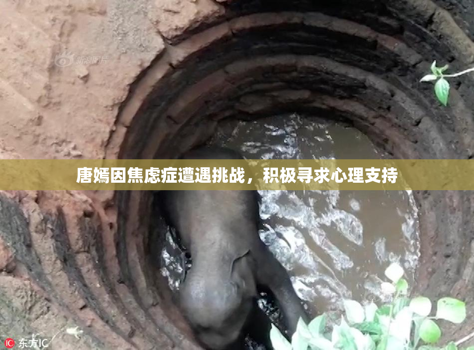 唐嫣因焦虑症遭遇挑战，积极寻求心理支持