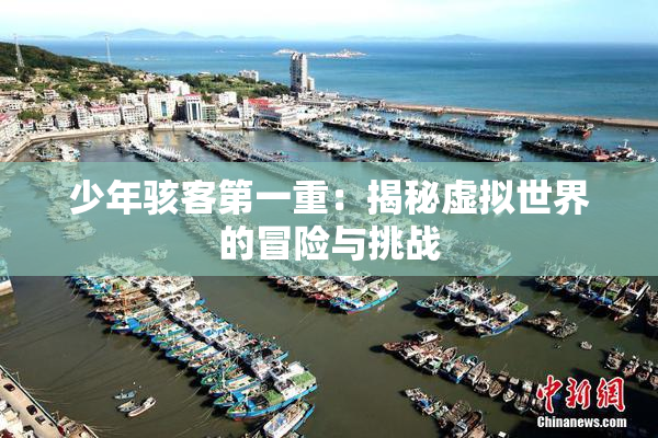 少年骇客第一重：揭秘虚拟世界的冒险与挑战