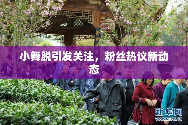 小舞脱引发关注，粉丝热议新动态