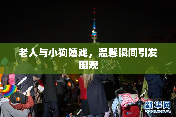 老人与小狗嬉戏，温馨瞬间引发围观