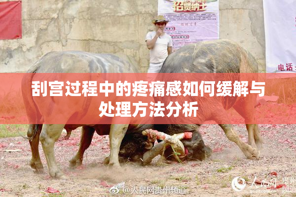 刮宫过程中的疼痛感如何缓解与处理方法分析