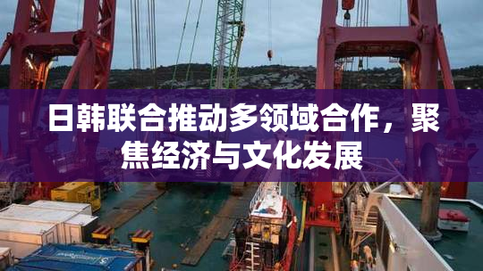 日韩联合推动多领域合作，聚焦经济与文化发展