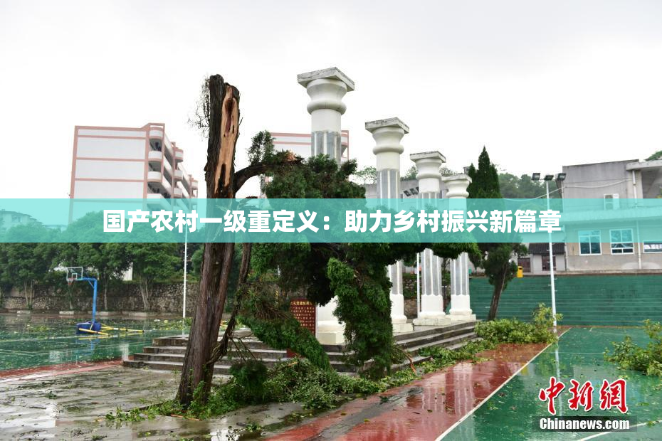 国产农村一级重定义：助力乡村振兴新篇章