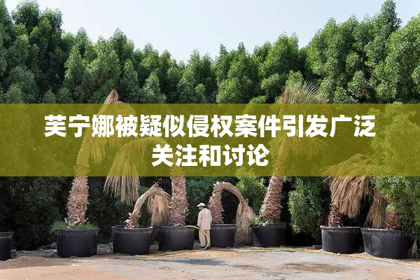 芙宁娜被疑似侵权案件引发广泛关注和讨论