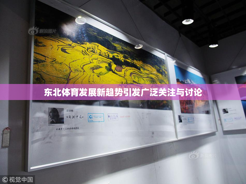 东北体育发展新趋势引发广泛关注与讨论