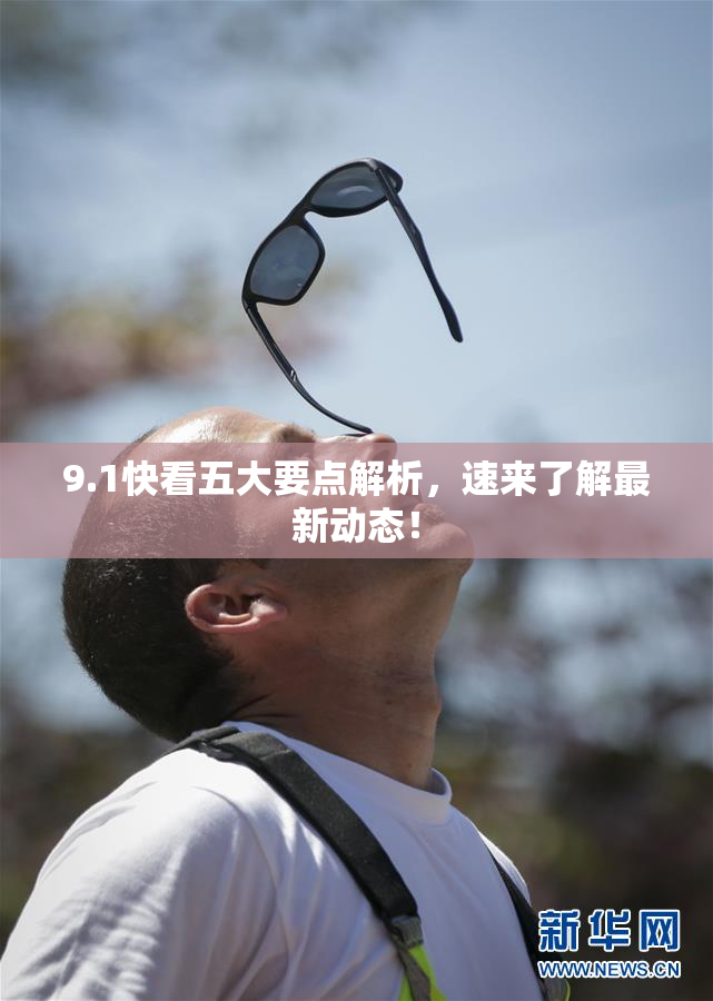 9.1快看五大要点解析，速来了解最新动态！