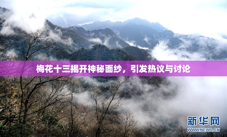 梅花十三揭开神秘面纱，引发热议与讨论