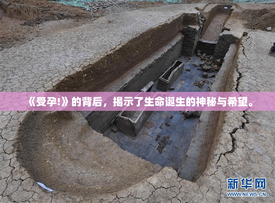 《受孕!》的背后，揭示了生命诞生的神秘与希望。
