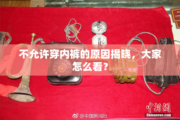 不允许穿内裤的原因揭晓，大家怎么看？