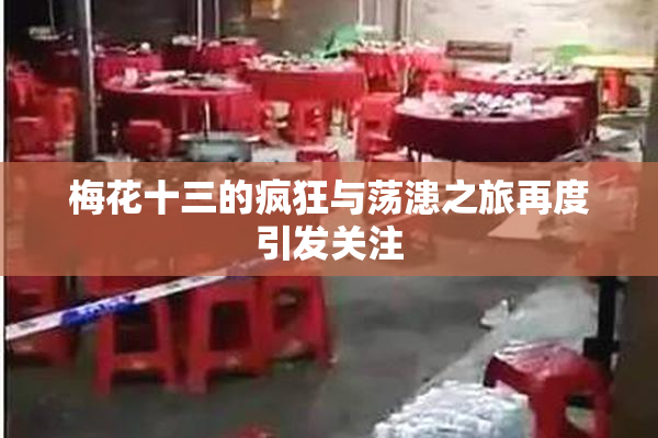 梅花十三的疯狂与荡漶之旅再度引发关注