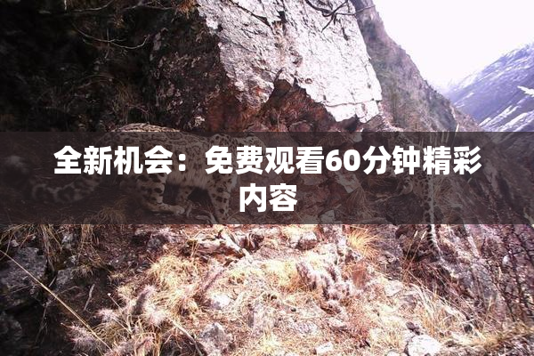 全新机会：免费观看60分钟精彩内容
