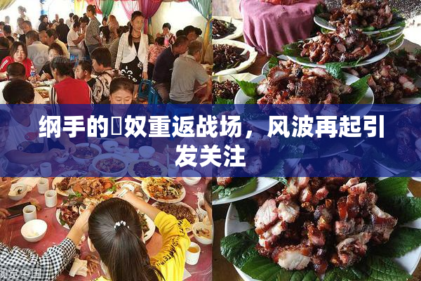 纲手的婬奴重返战场，风波再起引发关注