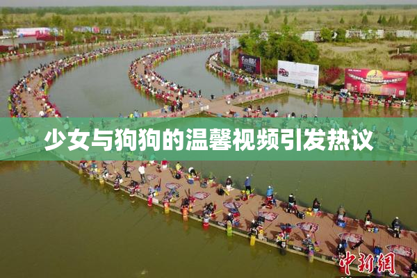少女与狗狗的温馨视频引发热议