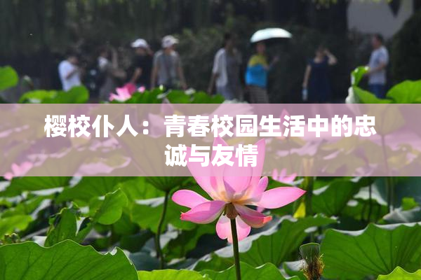 樱校仆人：青春校园生活中的忠诚与友情