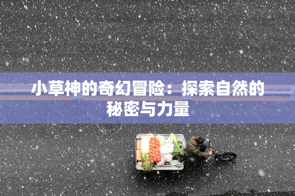小草神的奇幻冒险：探索自然的秘密与力量
