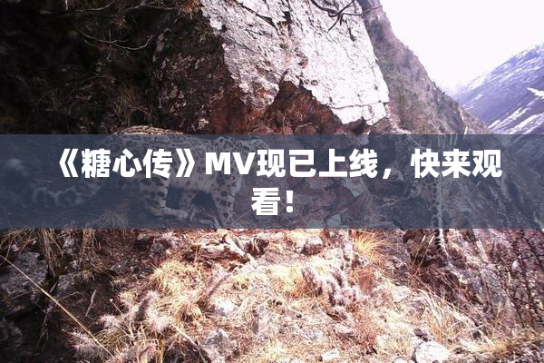 《糖心传》MV现已上线，快来观看！