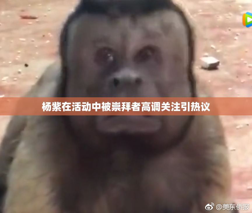 杨紫在活动中被崇拜者高调关注引热议