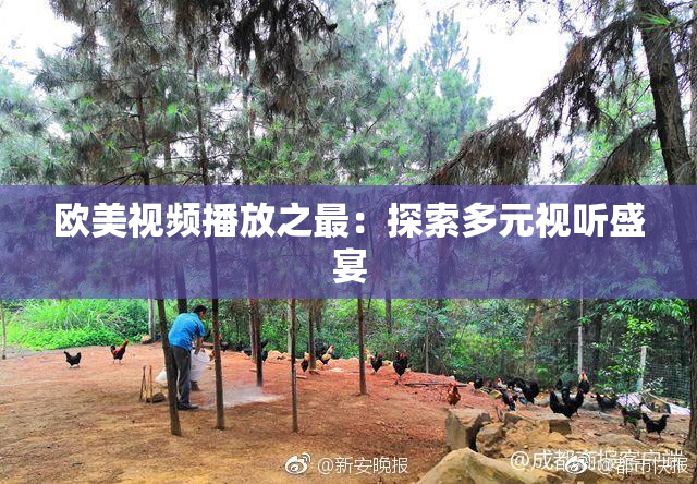 欧美视频播放之最：探索多元视听盛宴