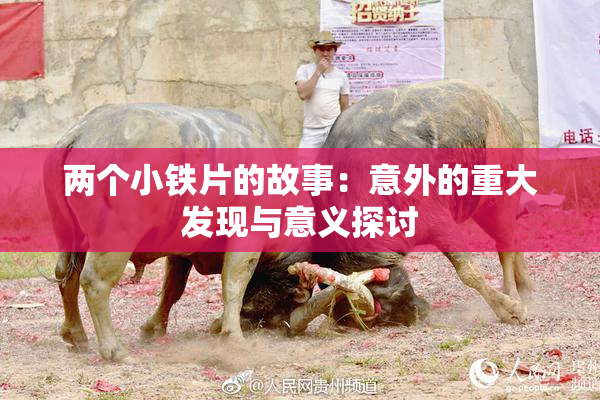 两个小铁片的故事：意外的重大发现与意义探讨