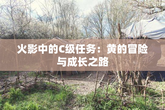 火影中的C级任务：黄的冒险与成长之路