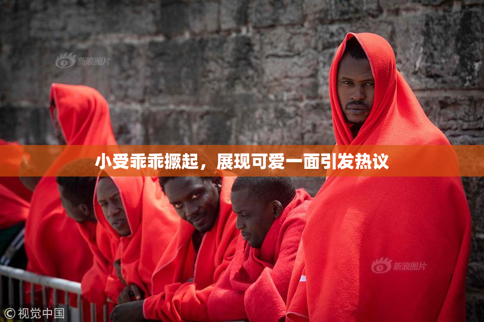小受乖乖撅起，展现可爱一面引发热议