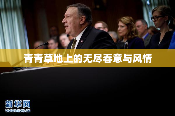 青青草地上的无尽春意与风情