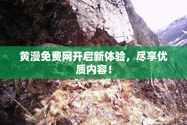 黄漫免费网开启新体验，尽享优质内容！
