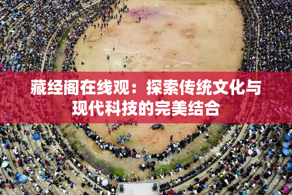藏经阁在线观：探索传统文化与现代科技的完美结合