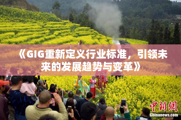 《GIG重新定义行业标准，引领未来的发展趋势与变革》