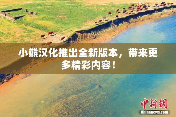 小熊汉化推出全新版本，带来更多精彩内容！