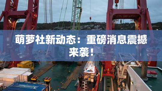 萌萝社新动态：重磅消息震撼来袭！