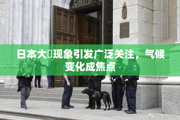 日本大隂现象引发广泛关注，气候变化成焦点