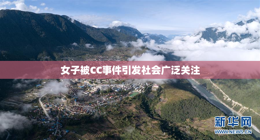 女子被CC事件引发社会广泛关注