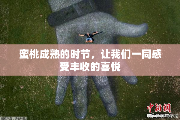 蜜桃成熟的时节，让我们一同感受丰收的喜悦
