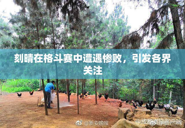刻晴在格斗赛中遭遇惨败，引发各界关注