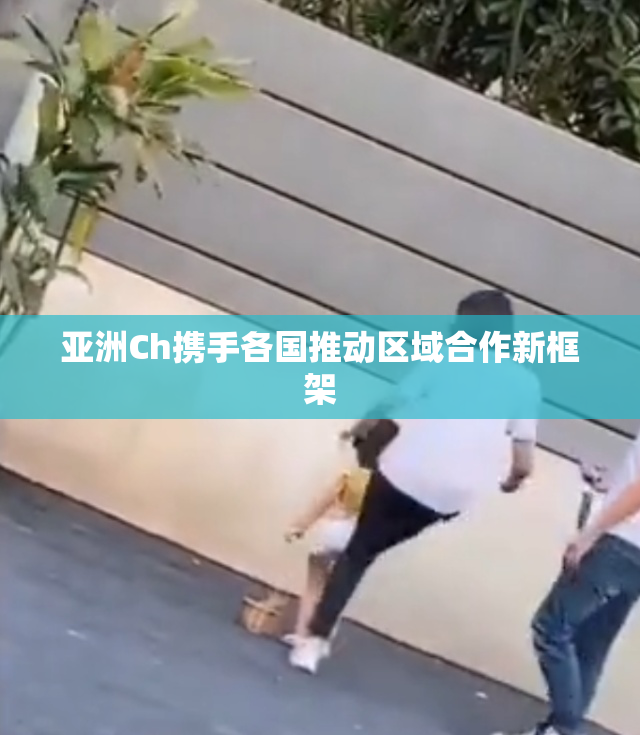 亚洲Ch携手各国推动区域合作新框架