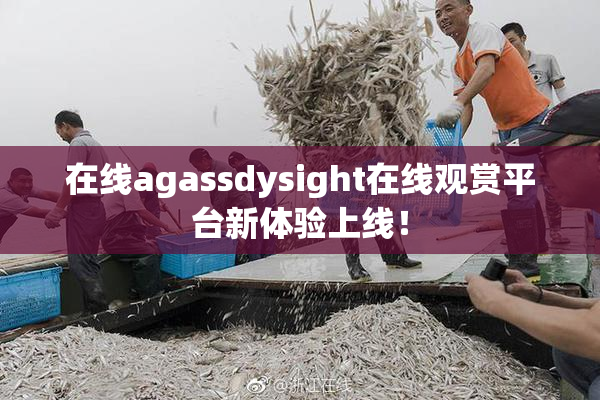 在线agassdysight在线观赏平台新体验上线！