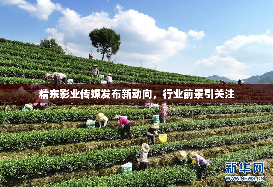 精东影业传媒发布新动向，行业前景引关注