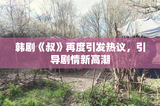 韩剧《叔》再度引发热议，引导剧情新高潮