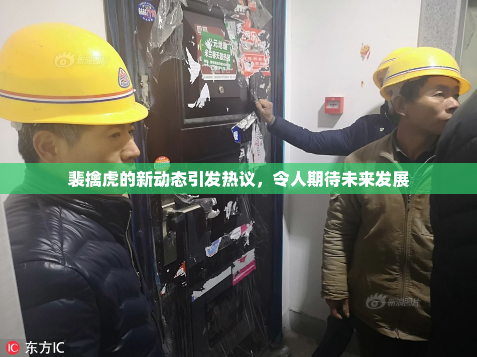 裴擒虎的新动态引发热议，令人期待未来发展
