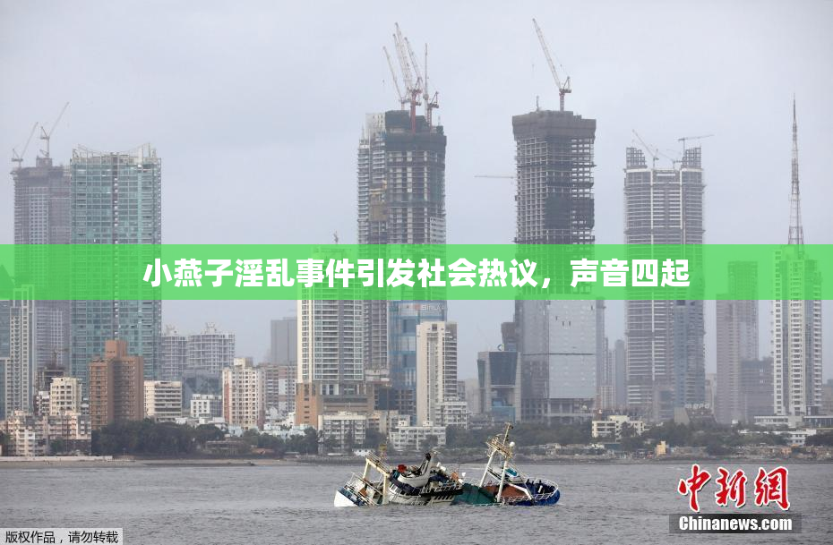 小燕子淫乱事件引发社会热议，声音四起