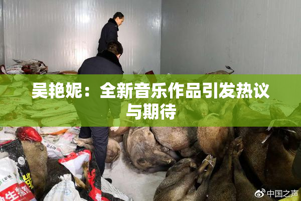 吴艳妮：全新音乐作品引发热议与期待